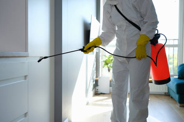 Best Preventive Mold Services in Rock Island, WA