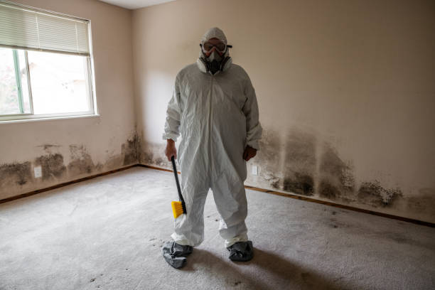 Best Industrial Mold Remediation in Rock Island, WA